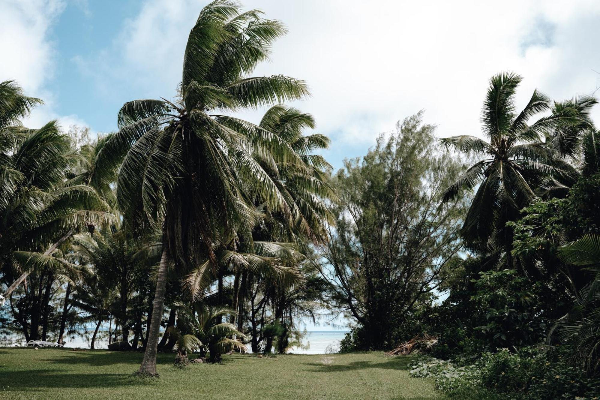 Tai'Inu Bungalows Amuri エクステリア 写真